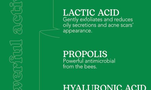 BEESLINE SEBUM-CONTROL BALANCING SERUM 30ML
